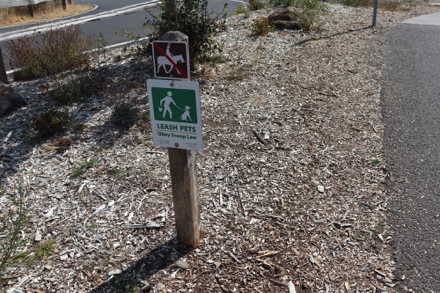 Horses allowed on some trails – not at Visitors Center – leash pets – obey scoop law